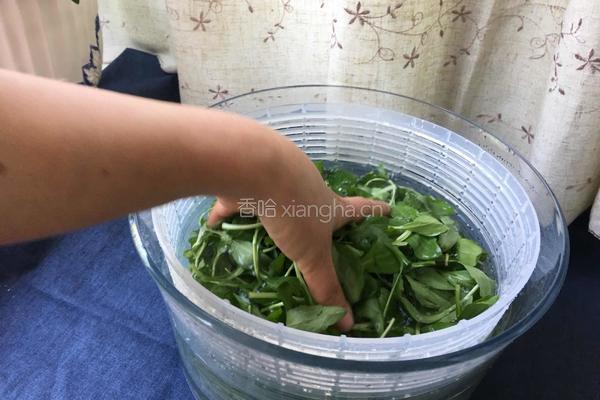 凉拌香干马兰头#年夜饭的做法图解4