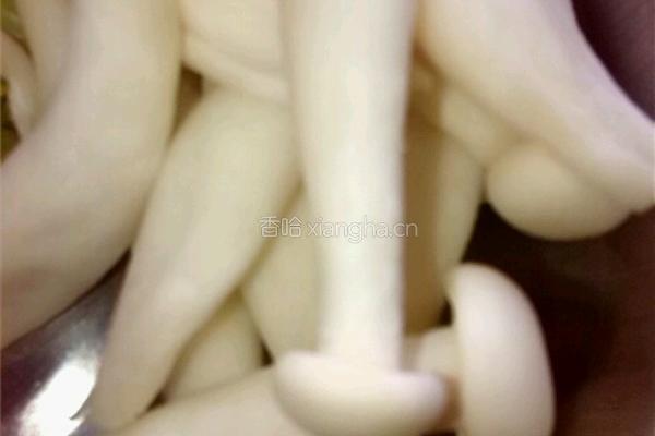 麻辣素砂锅的做法图解4