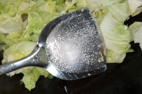 番茄鸡蛋肉渣包菜的做法图解7
