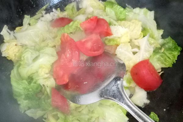 番茄鸡蛋肉渣包菜的做法图解8