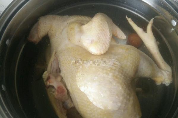 凉拌手撕鸡的做法图解4