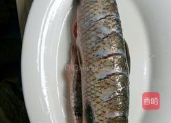 红烧鱼的做法图解1