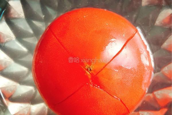 夕阳炒饭的做法图解2