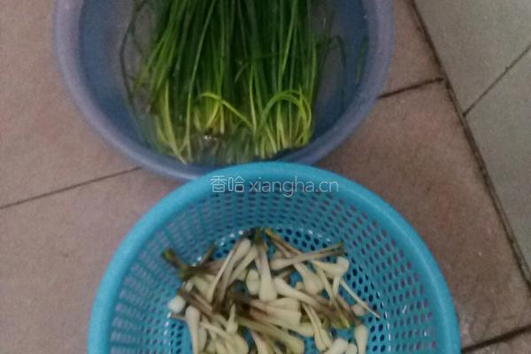 藠头的做法图解1