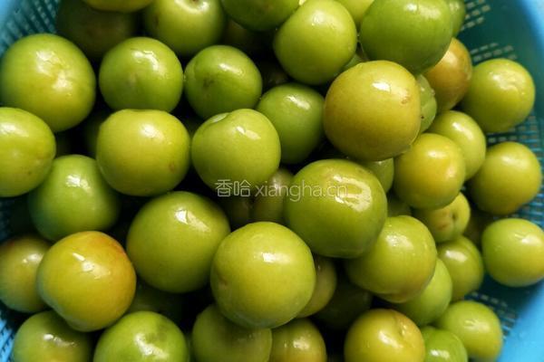 酸李子的做法图解1