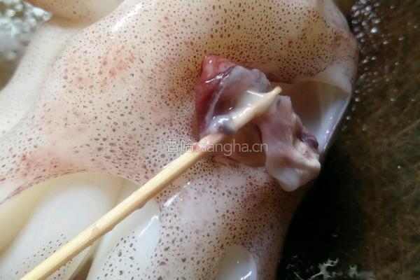鱿鱼须炒荷兰豆的做法图解3