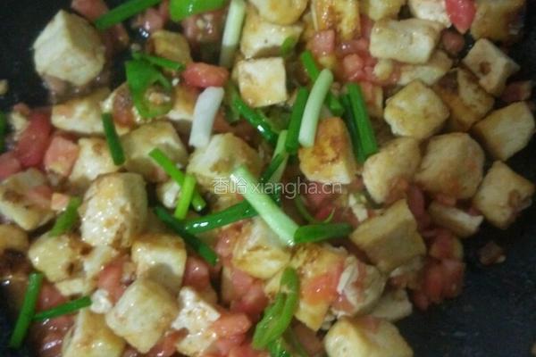 番茄豆腐的做法图解8
