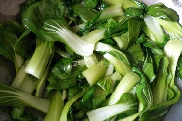 蚝油青菜的做法图解6