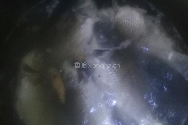 凉拌鲫鱼的做法图解2