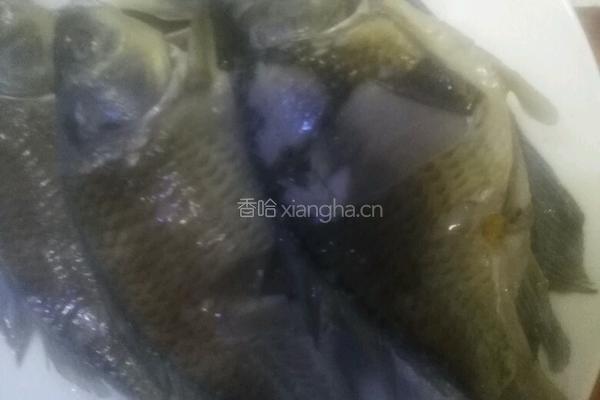 凉拌鲫鱼的做法图解3