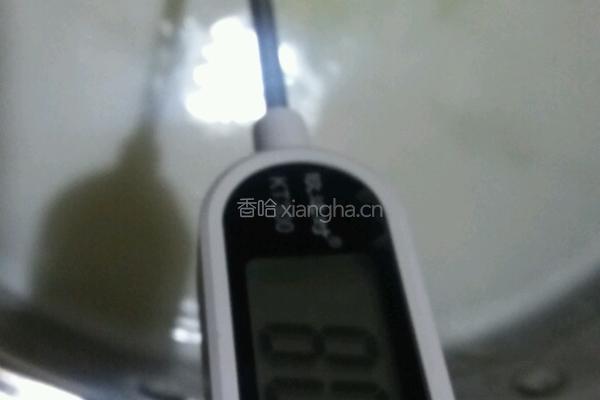 手工做新鲜的意大利里科塔乳清奶酪(纯乳清奶酪)乳清芝士的做法图解3