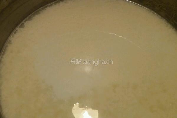 手工做新鲜的意大利里科塔乳清奶酪(纯乳清奶酪)乳清芝士的做法图解4