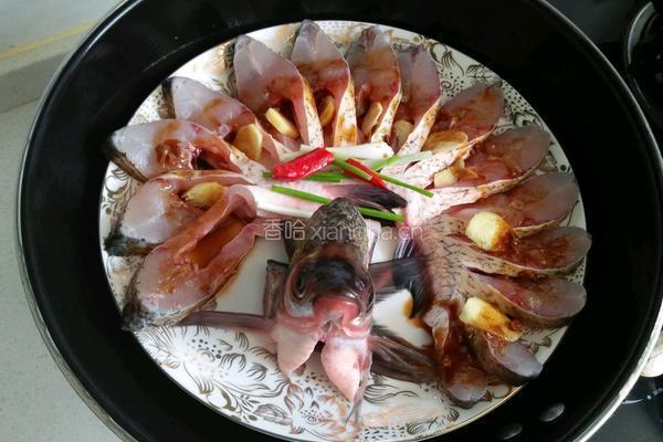 孔雀开屏的做法图解8