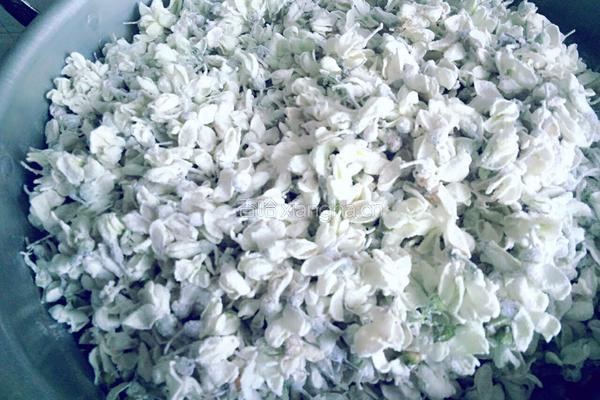 蒸槐花的做法图解4