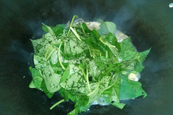 鸡蛋肉末红薯叶荞麦面的做法图解6