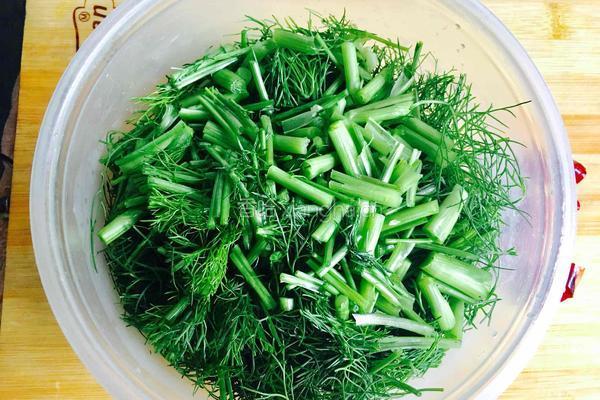 茴香炒荞丝的做法图解6