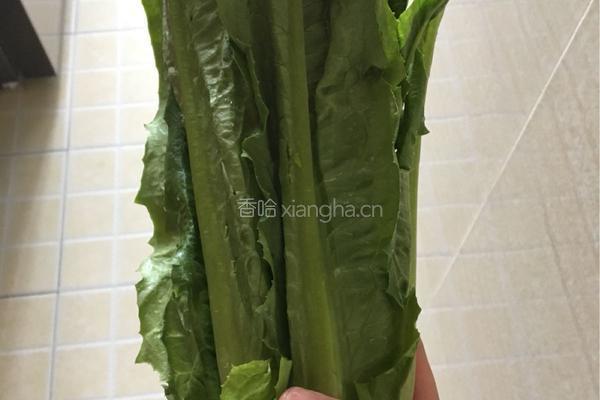 白灼凤尾的做法图解1