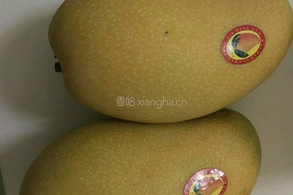 芒果椰汁凍的做法图解1