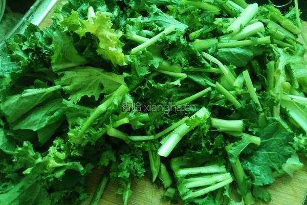 老屋私房菜清炒苔菜的做法图解1