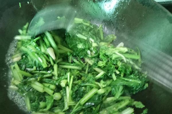 老屋私房菜清炒苔菜的做法图解7