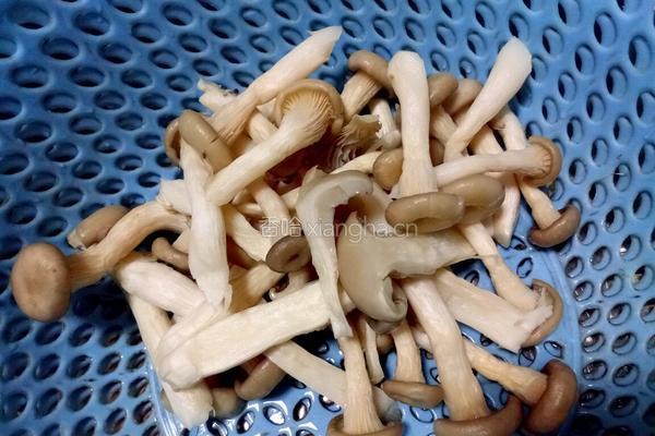 肉沫蘑菇的做法图解1