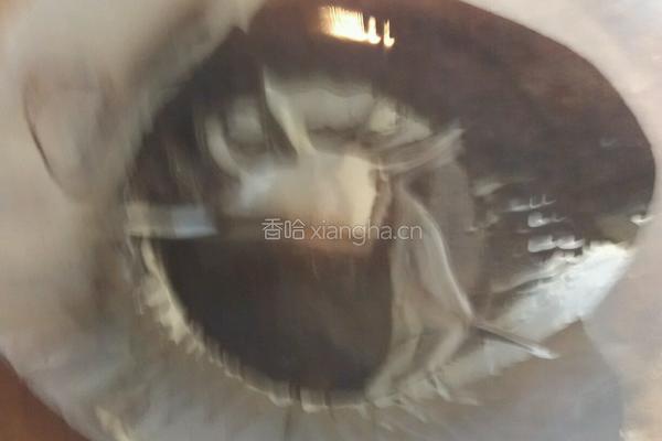 豆角炒肉丝的做法图解11
