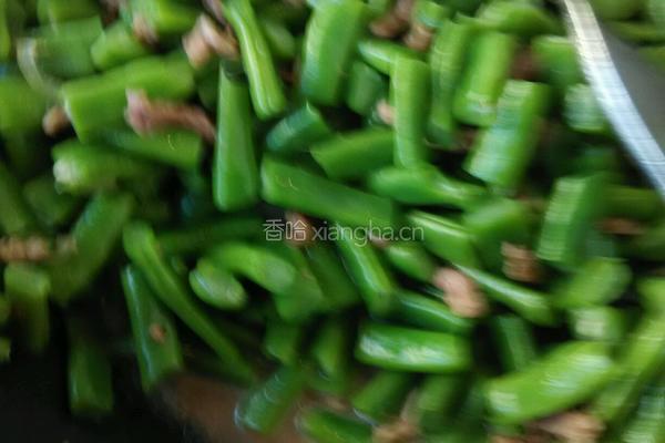 豆角炒肉丝的做法图解14