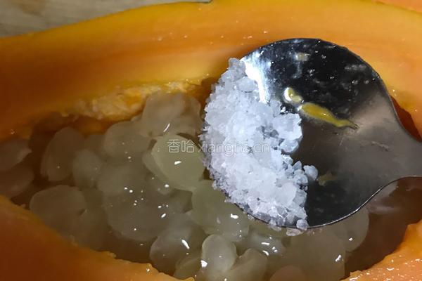皂角米木瓜椰奶盅的做法图解4