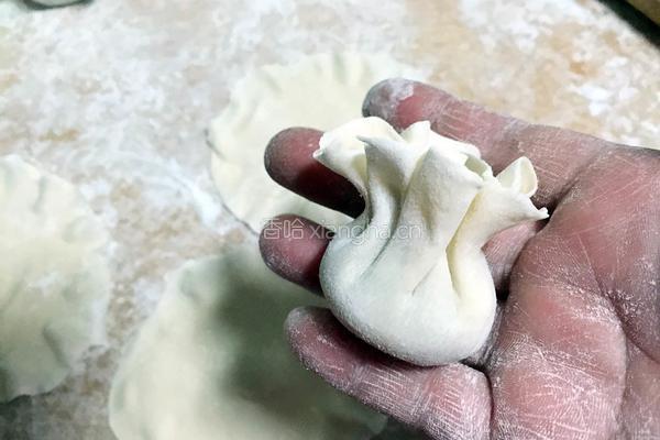 烧麦（牛肉香菜馅儿）的做法图解10