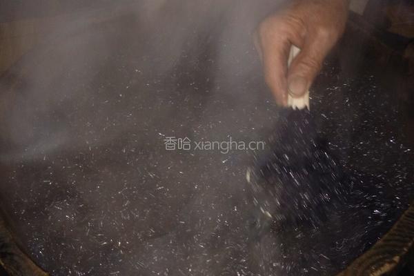 黑蚂蚁的做法图解16