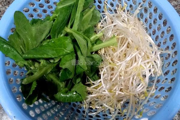 绿豆芽炒白菜苔的做法图解1