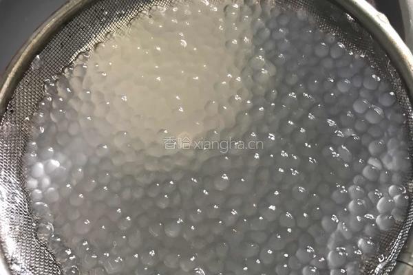 桃胶牛奶西米露的做法图解4
