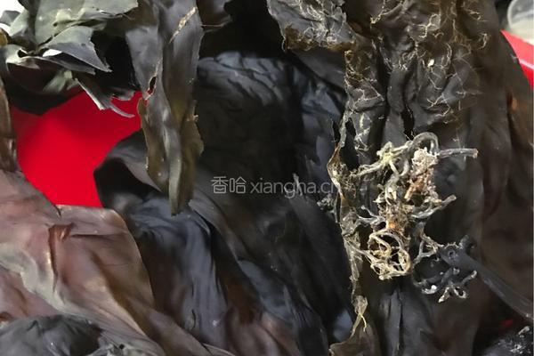 宠物海藻粉的做法图解3