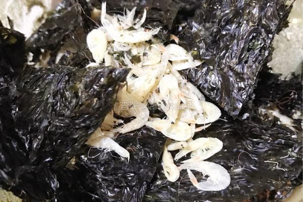 宠物海藻粉的做法图解7