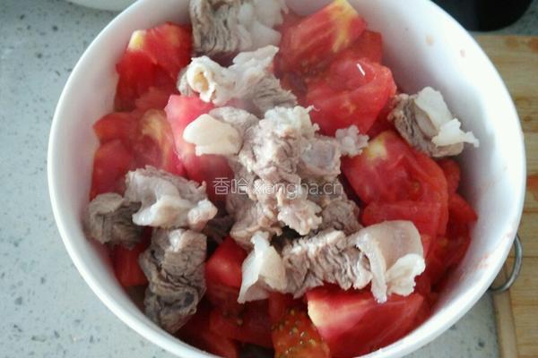 西红柿炖牛腩的做法图解5