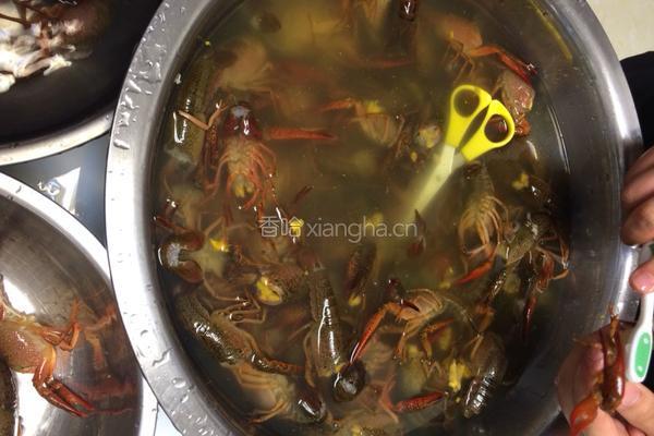 自制小龙虾的做法图解1