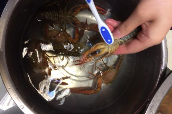 自制小龙虾的做法图解2