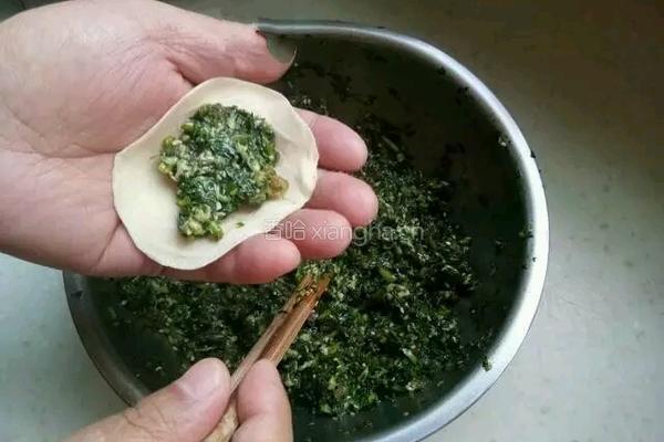 茼蒿馅饺子的做法图解9