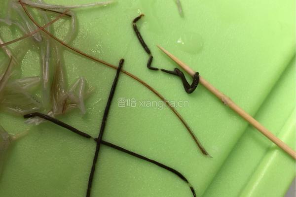 茄汁大虾的做法图解5