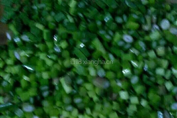 蒜苔炒饭的做法图解2