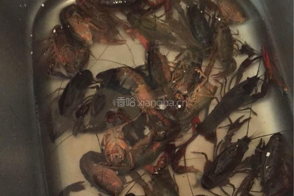 小龙虾的做法图解2