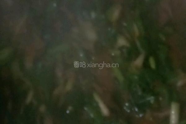 韭菜盖面的做法图解6