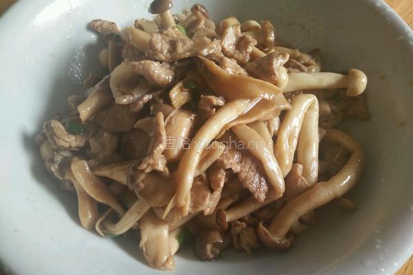 三菇炒肉片的做法图解15