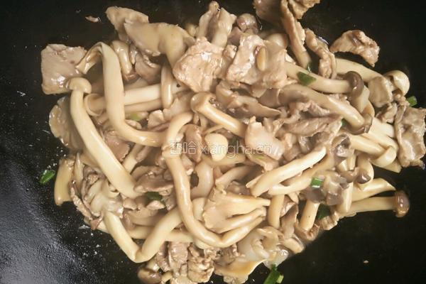三菇炒肉片的做法图解13