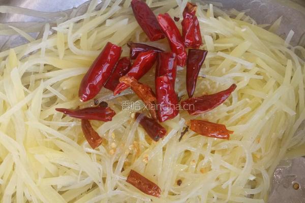 凉拌土豆丝的做法图解10