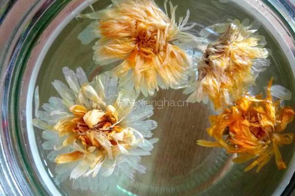 蜂蜜菊花水的做法图解2