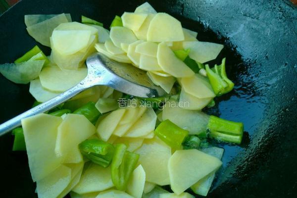 尖椒土豆片的做法图解6