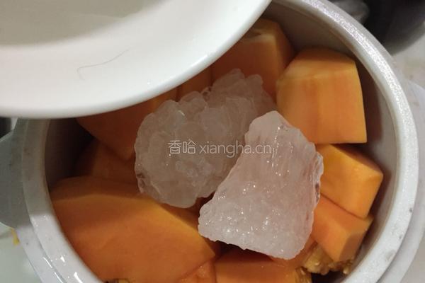 木瓜炖奶的做法图解2
