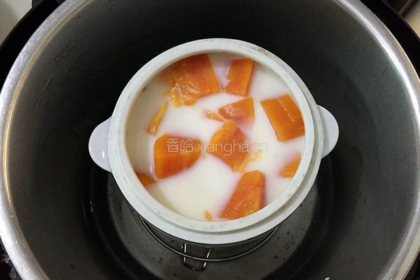 木瓜炖奶的做法图解4