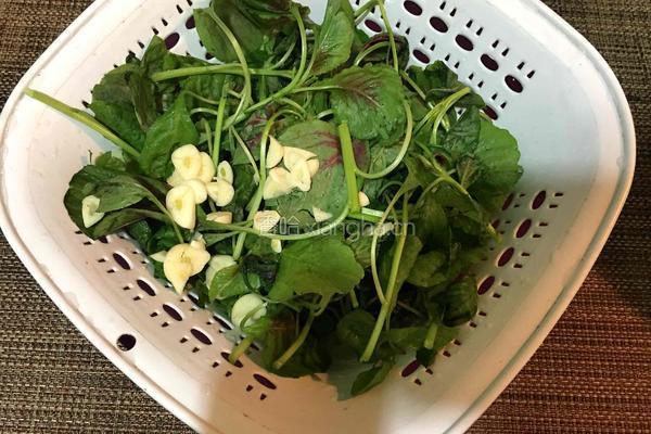 清炒苋菜的做法图解1